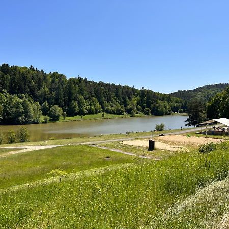 Apartman Na Kraji Lesa Všemina Exteriör bild