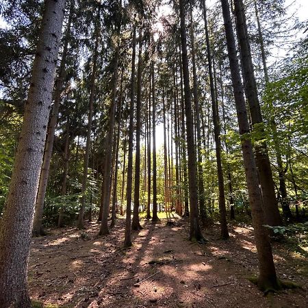 Apartman Na Kraji Lesa Všemina Exteriör bild