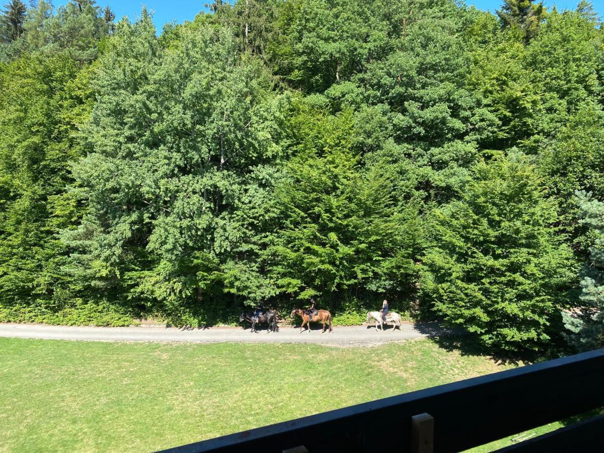 Apartman Na Kraji Lesa Všemina Exteriör bild